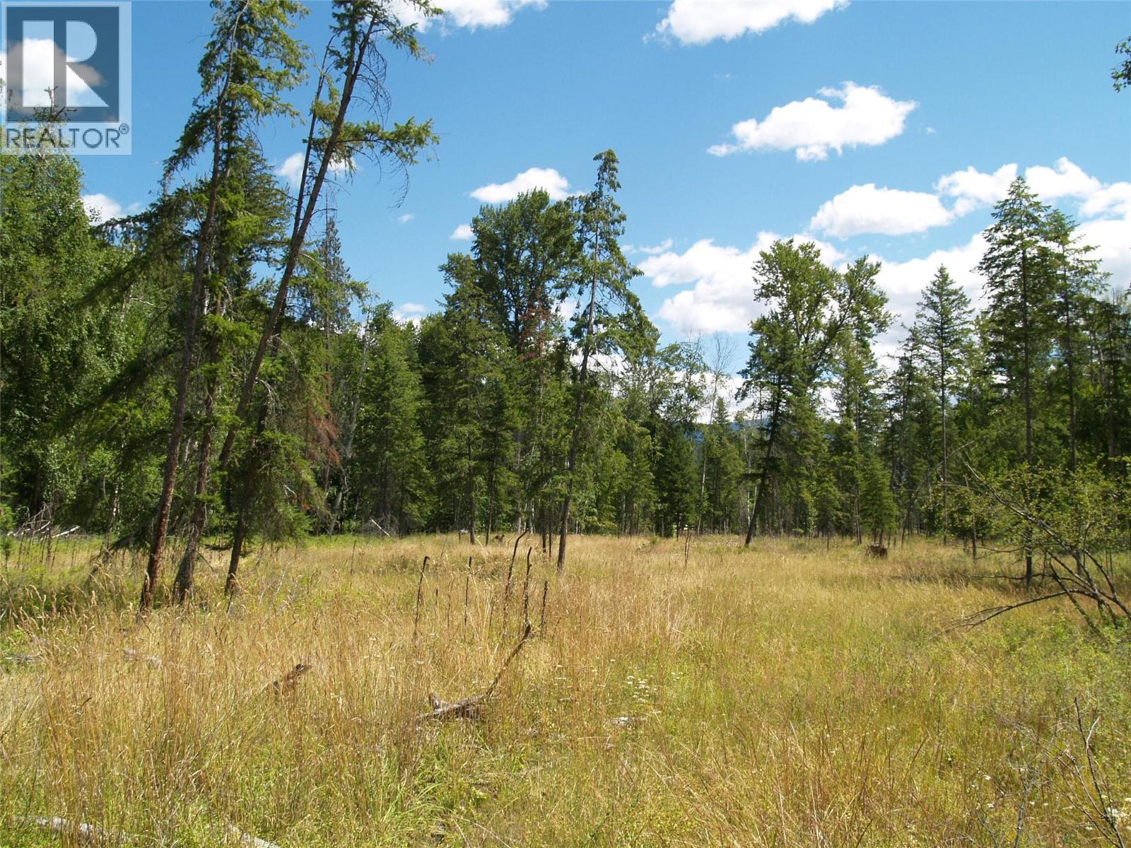 River Stone Road Lot# Lot D, Cherryville, British Columbia  V0E 2G1 - Photo 19 - 10371454