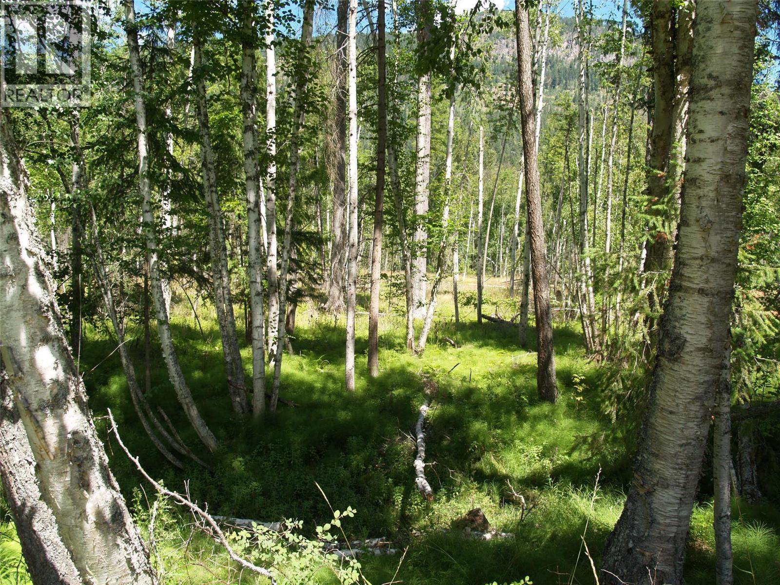 River Stone Road Lot# Lot D, Cherryville, British Columbia  V0E 2G1 - Photo 21 - 10371454