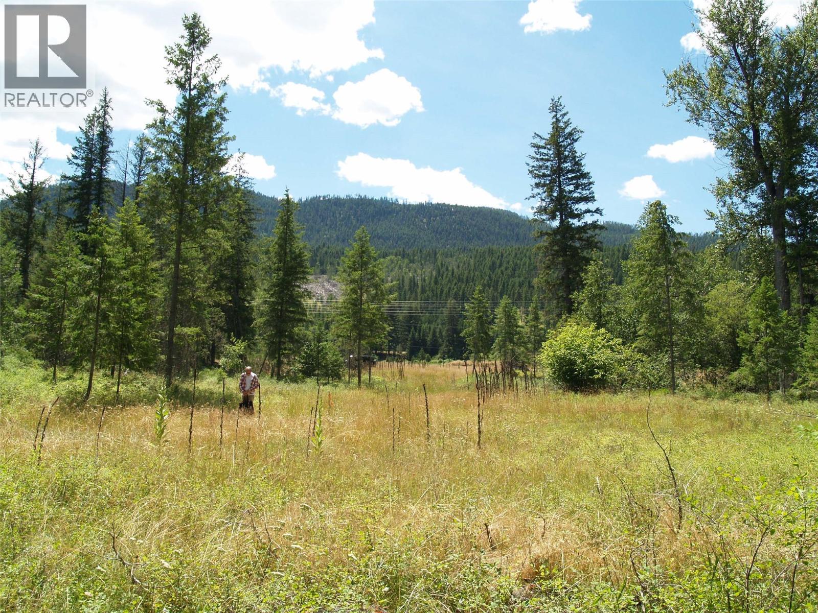 River Stone Road Lot# Lot D, Cherryville, British Columbia  V0E 2G1 - Photo 22 - 10371454