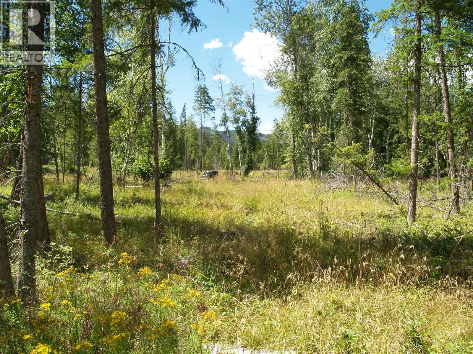 River Stone Road Lot# Lot D, Cherryville, British Columbia  V0E 2G1 - Photo 23 - 10371454