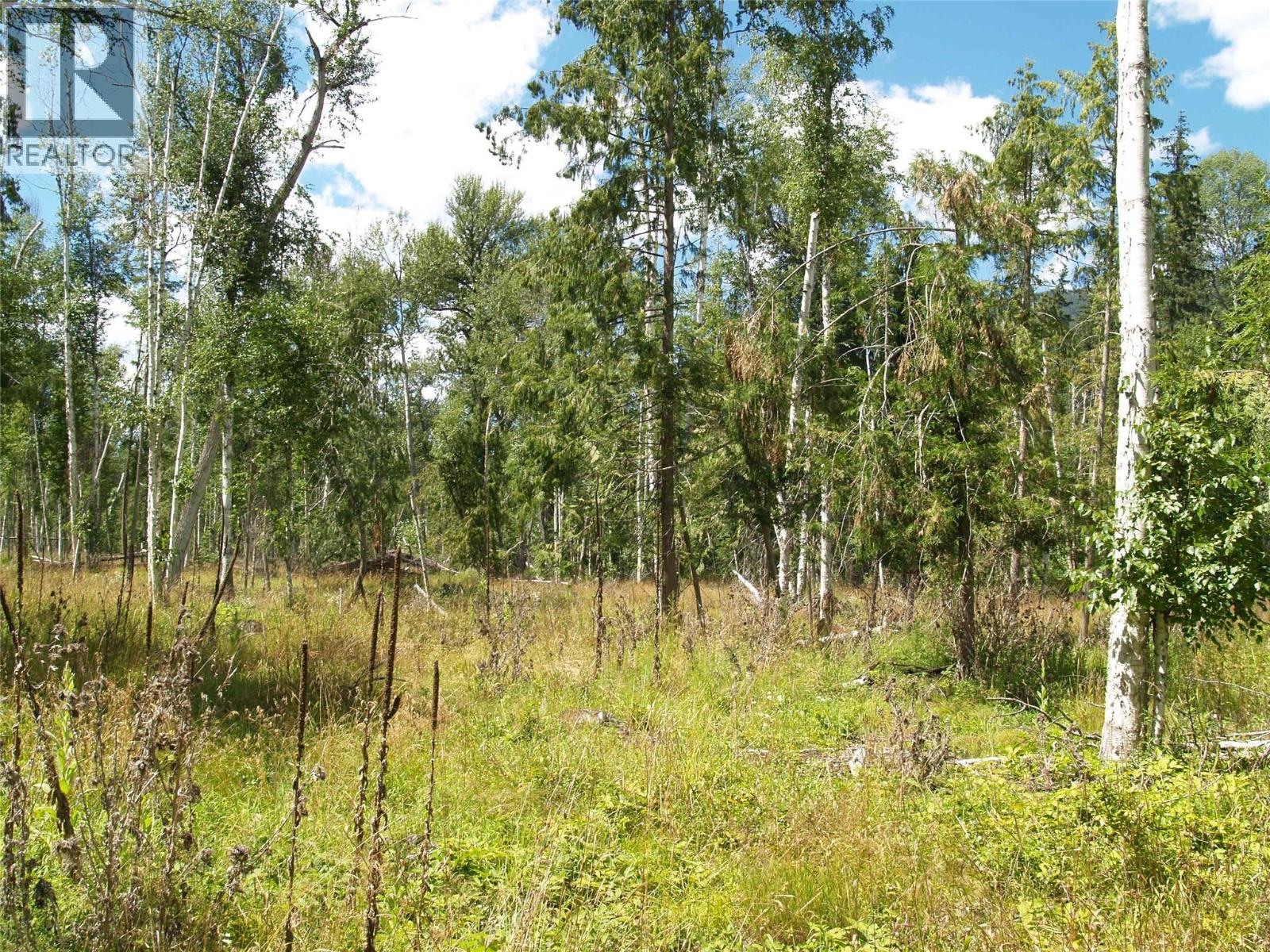 River Stone Road Lot# Lot D, Cherryville, British Columbia  V0E 2G1 - Photo 24 - 10371454