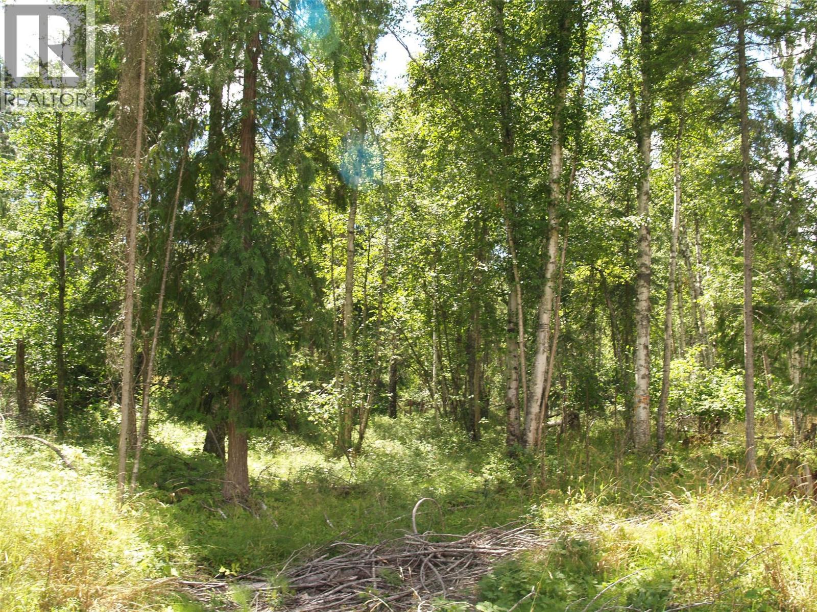 River Stone Road Lot# Lot D, Cherryville, British Columbia  V0E 2G1 - Photo 25 - 10371454