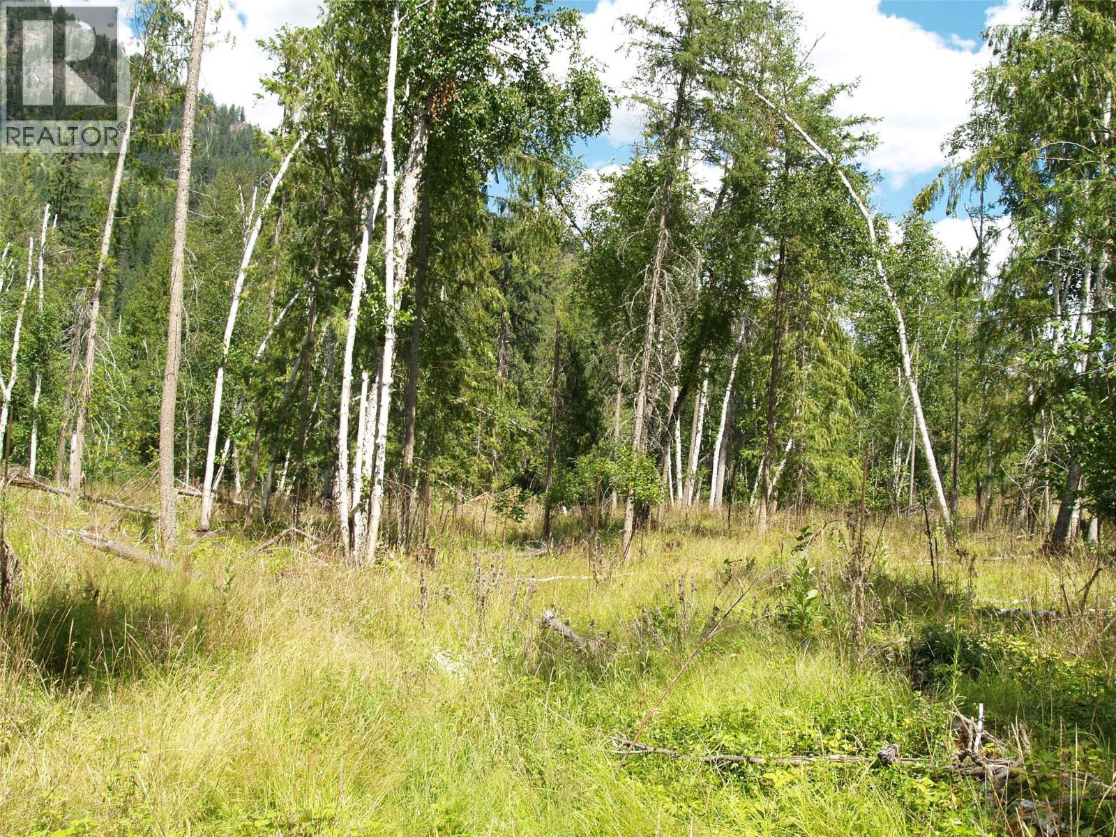River Stone Road Lot# Lot D, Cherryville, British Columbia  V0E 2G1 - Photo 26 - 10371454