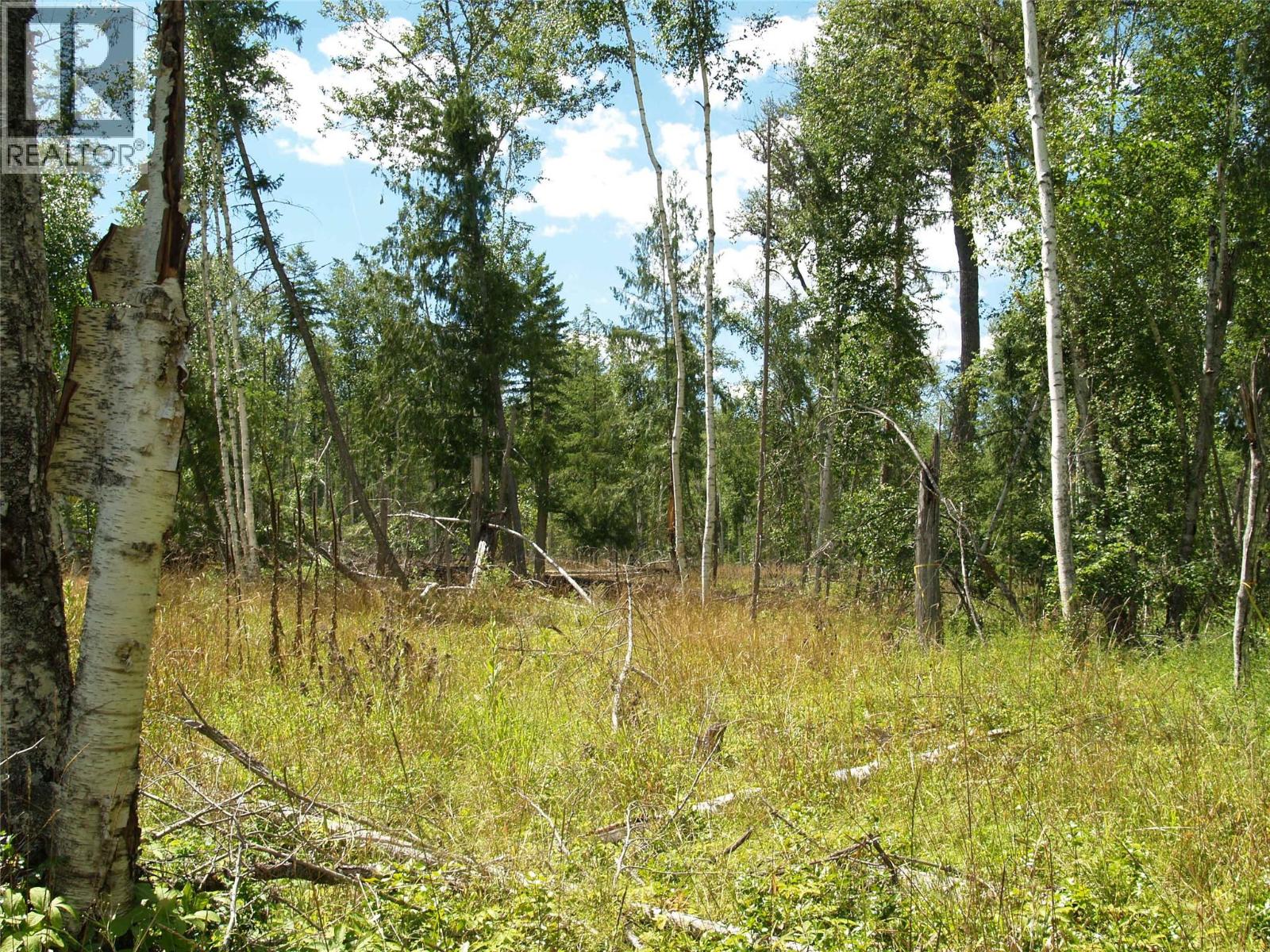 River Stone Road Lot# Lot D, Cherryville, British Columbia  V0E 2G1 - Photo 27 - 10371454