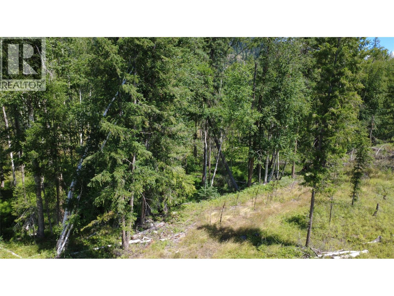 River Stone Road Lot# Lot D, Cherryville, British Columbia  V0E 2G1 - Photo 9 - 10371454