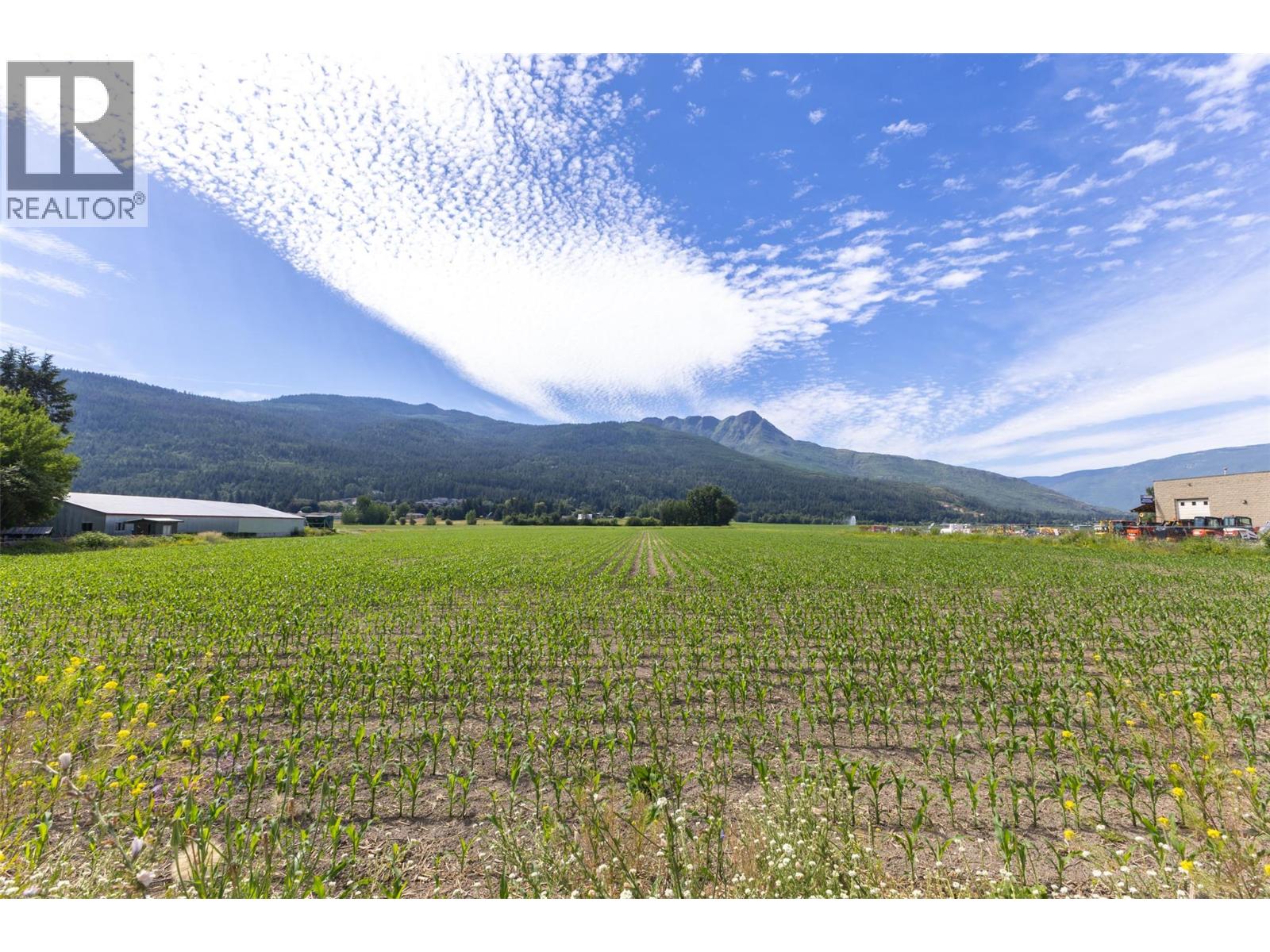 1490 10 Avenue Sw Lot# 3, Salmon Arm, British Columbia  V1E 1T2 - Photo 3 - 10371498