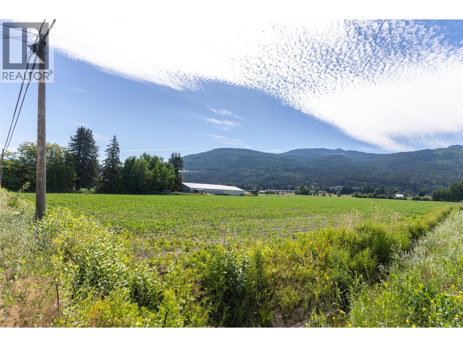 1490 10 Avenue Sw Lot# 3, Salmon Arm, British Columbia  V1E 1T2 - Photo 4 - 10371498