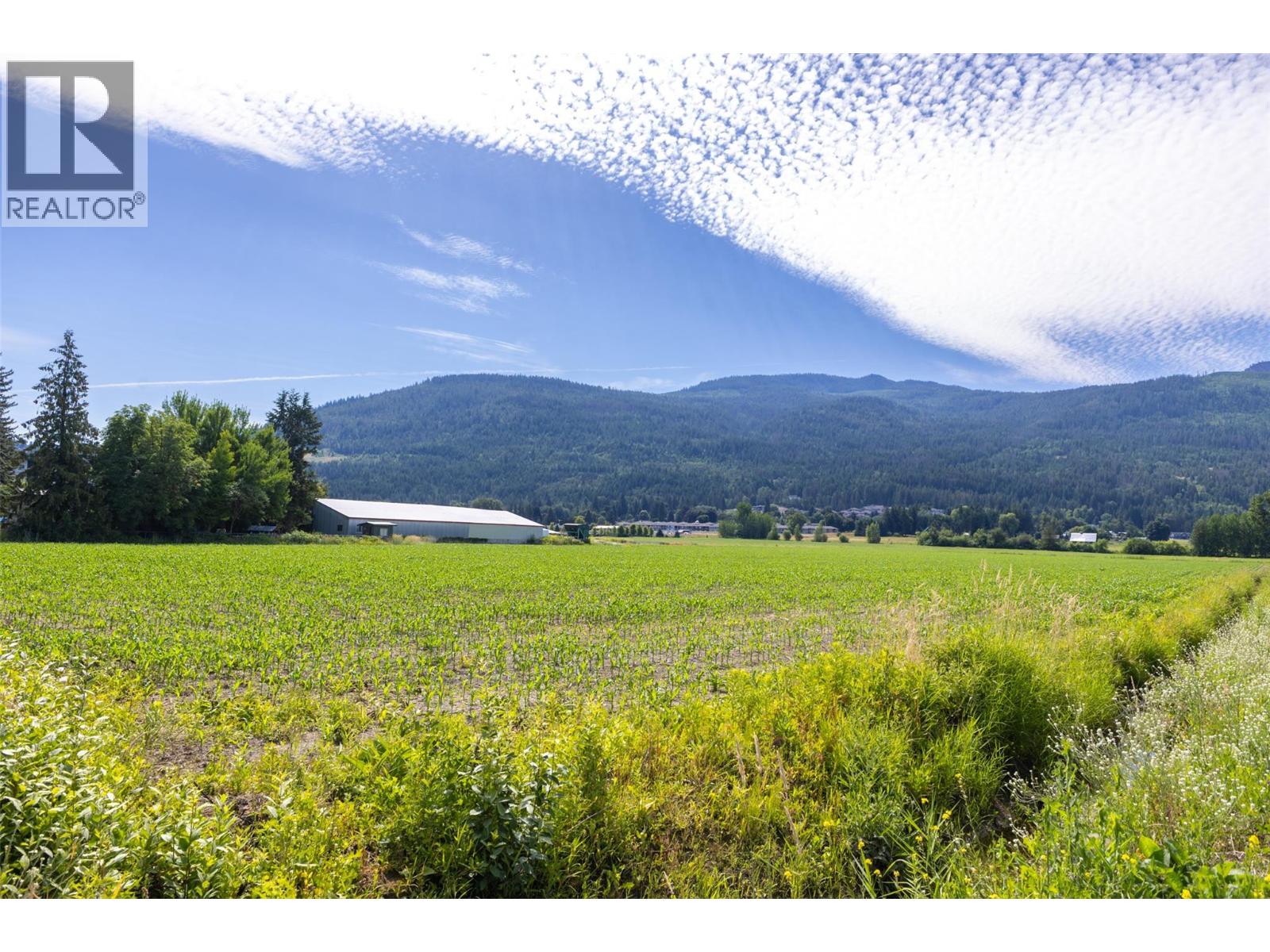 1490 10 Avenue Sw Lot# 3, Salmon Arm, British Columbia  V1E 1T2 - Photo 5 - 10371498