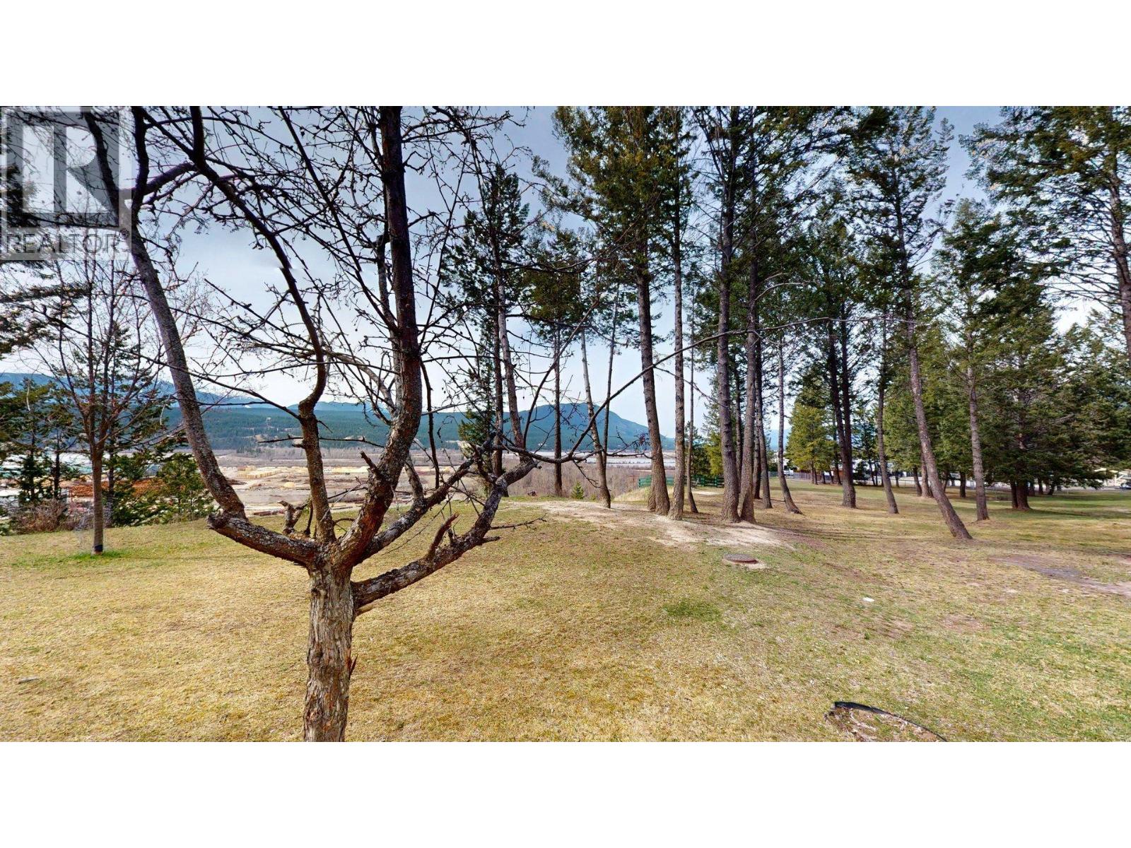 7319 Glacier Drive, Radium Hot Springs, British Columbia  V0A 1M0 - Photo 35 - 10371654