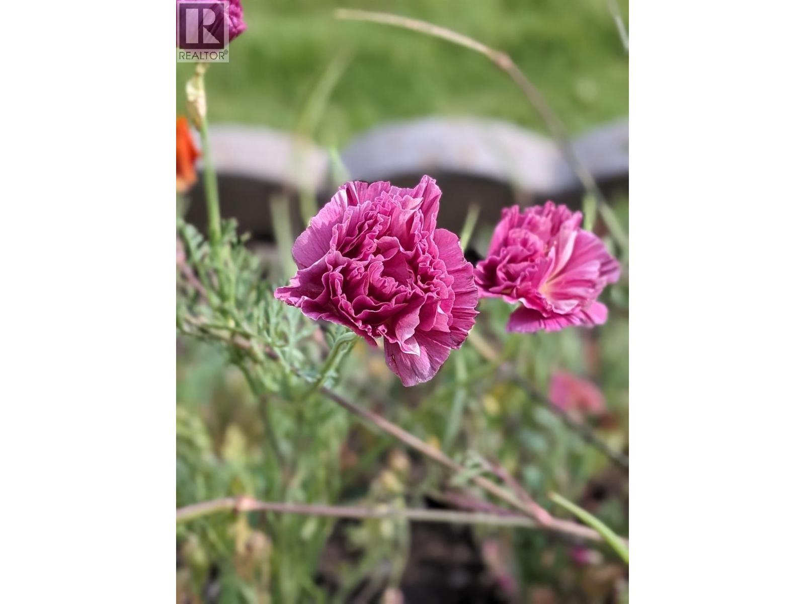 11708 Quail Ridge Place, Osoyoos, British Columbia  V0H 1V4 - Photo 47 - 10371677