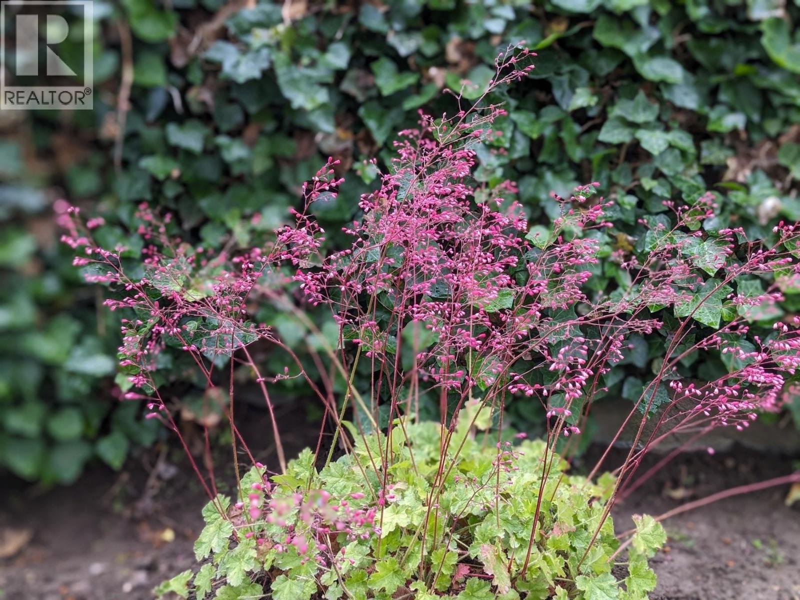 11708 Quail Ridge Place, Osoyoos, British Columbia  V0H 1V4 - Photo 48 - 10371677