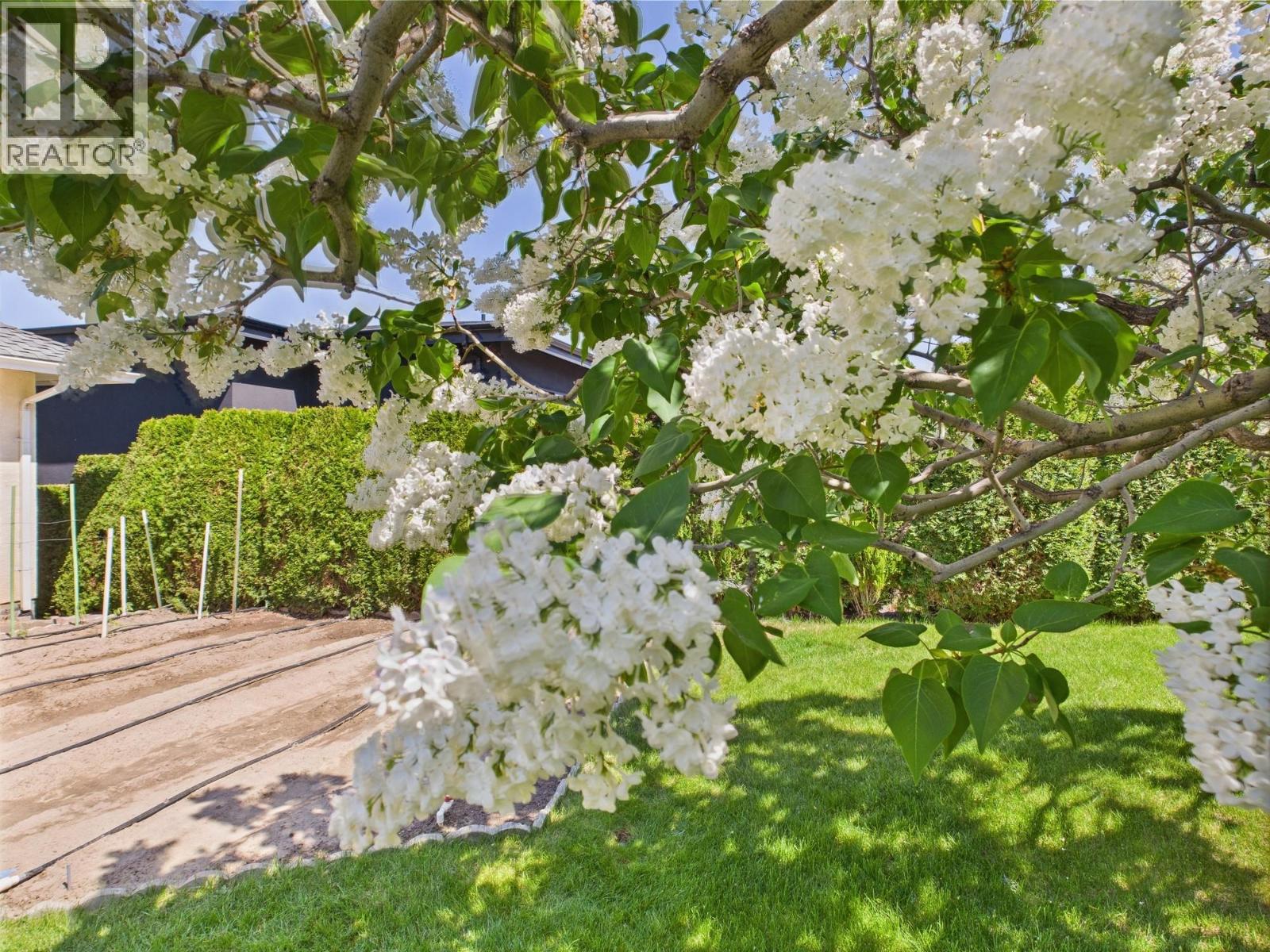 11708 Quail Ridge Place, Osoyoos, British Columbia  V0H 1V4 - Photo 8 - 10371677