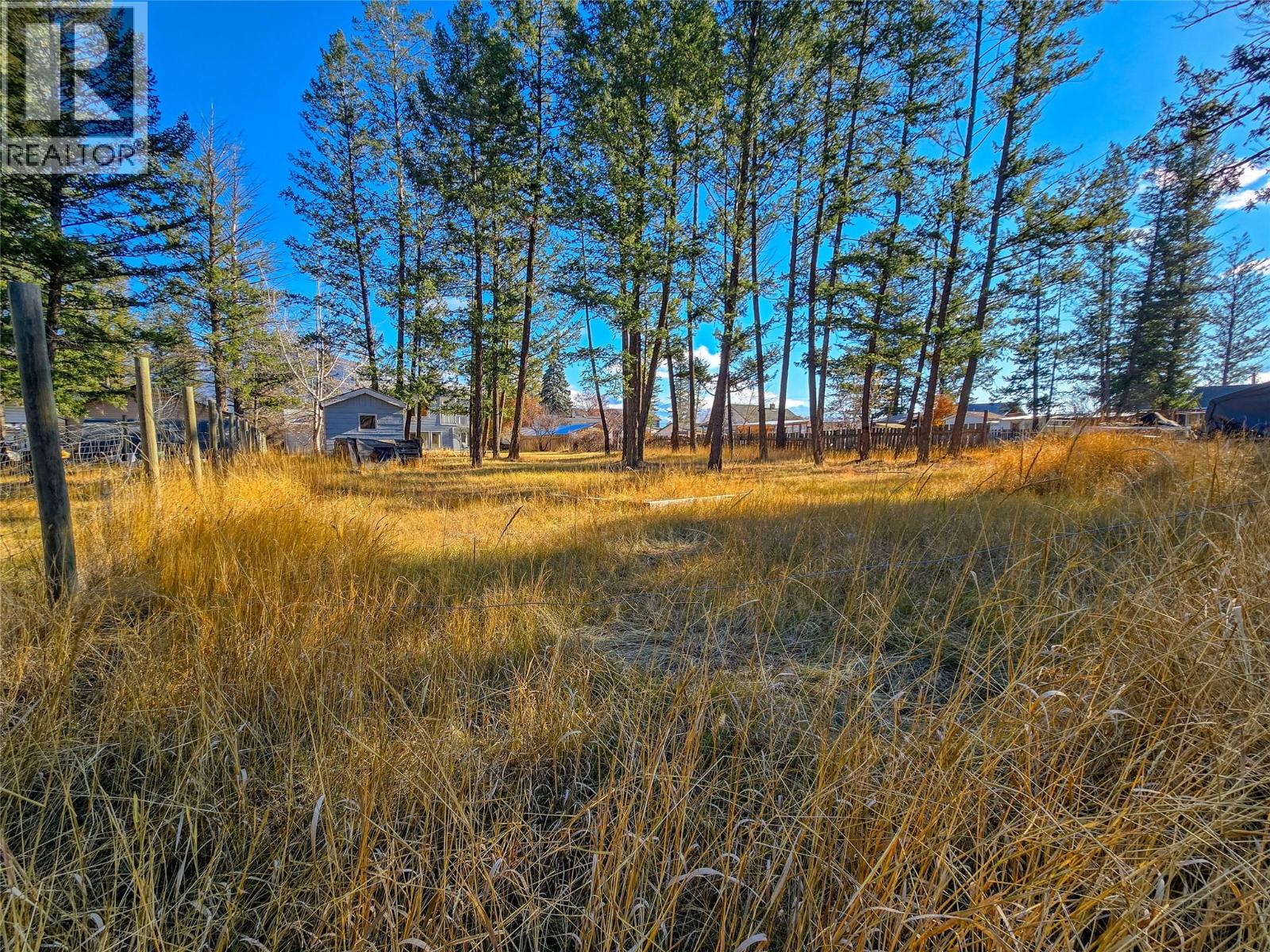 402 12th Avenue, Invermere, British Columbia  V0A 1K0 - Photo 54 - 10371907