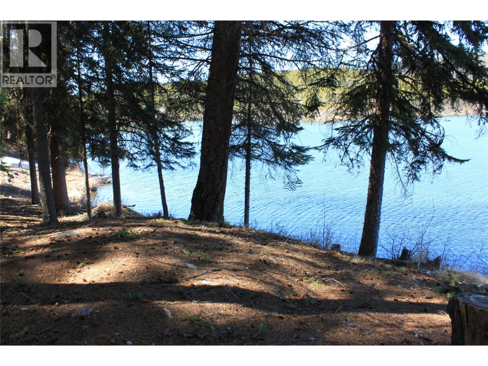 272 Link Lake Road, Princeton, British Columbia  V0X 1W0 - Photo 47 - 10371881