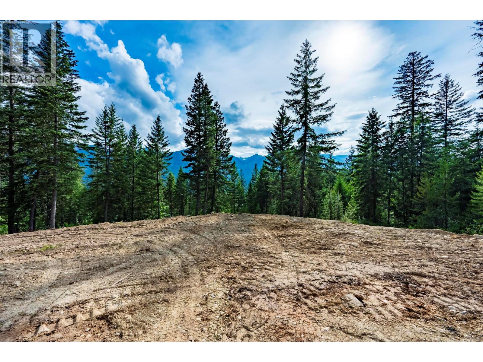 Lot 31 Cougar Drive, Golden, British Columbia  V0A 1H2 - Photo 4 - 10372047