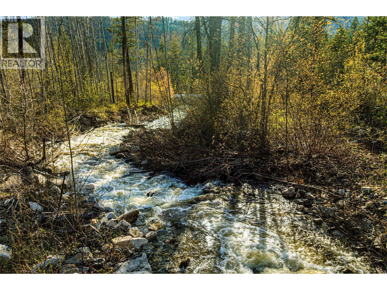 4350 Highway 33, Beaverdell, British Columbia  V0H 1A0 - Photo 3 - 10372087