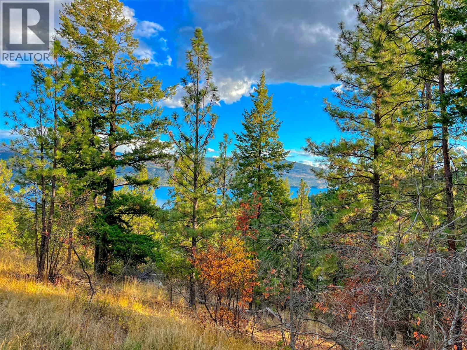 10751 Westshore Road, Vernon, British Columbia  V1H 2C2 - Photo 5 - 10371985