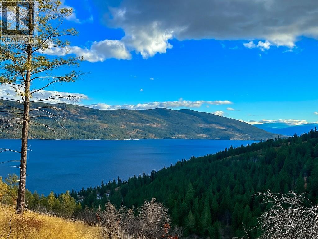 10751 Westshore Road, Vernon, British Columbia  V1H 2C2 - Photo 6 - 10371985