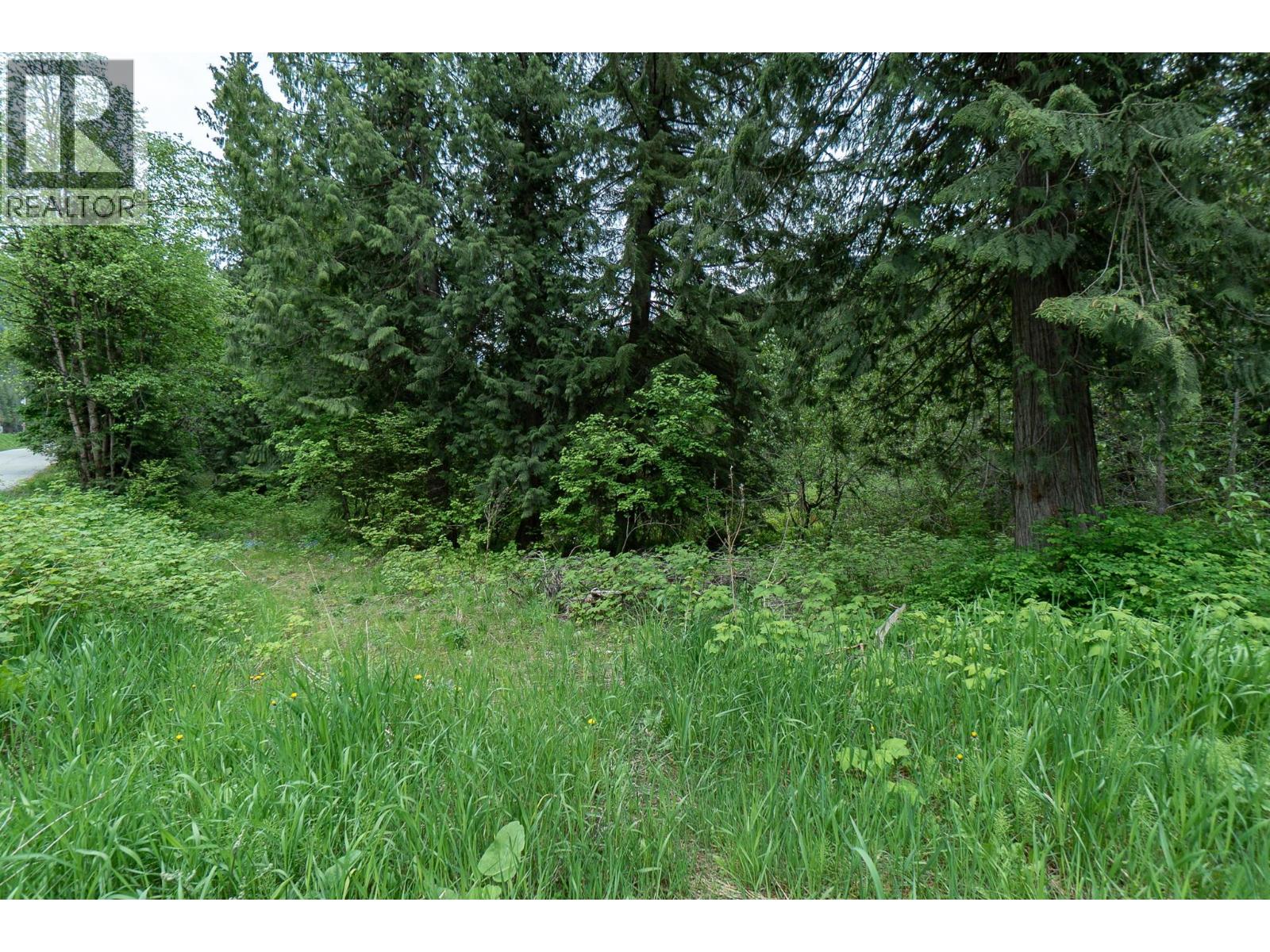 5926 Ferguson Frontage Road, Malakwa, British Columbia  V0E 2J0 - Photo 29 - 10372152