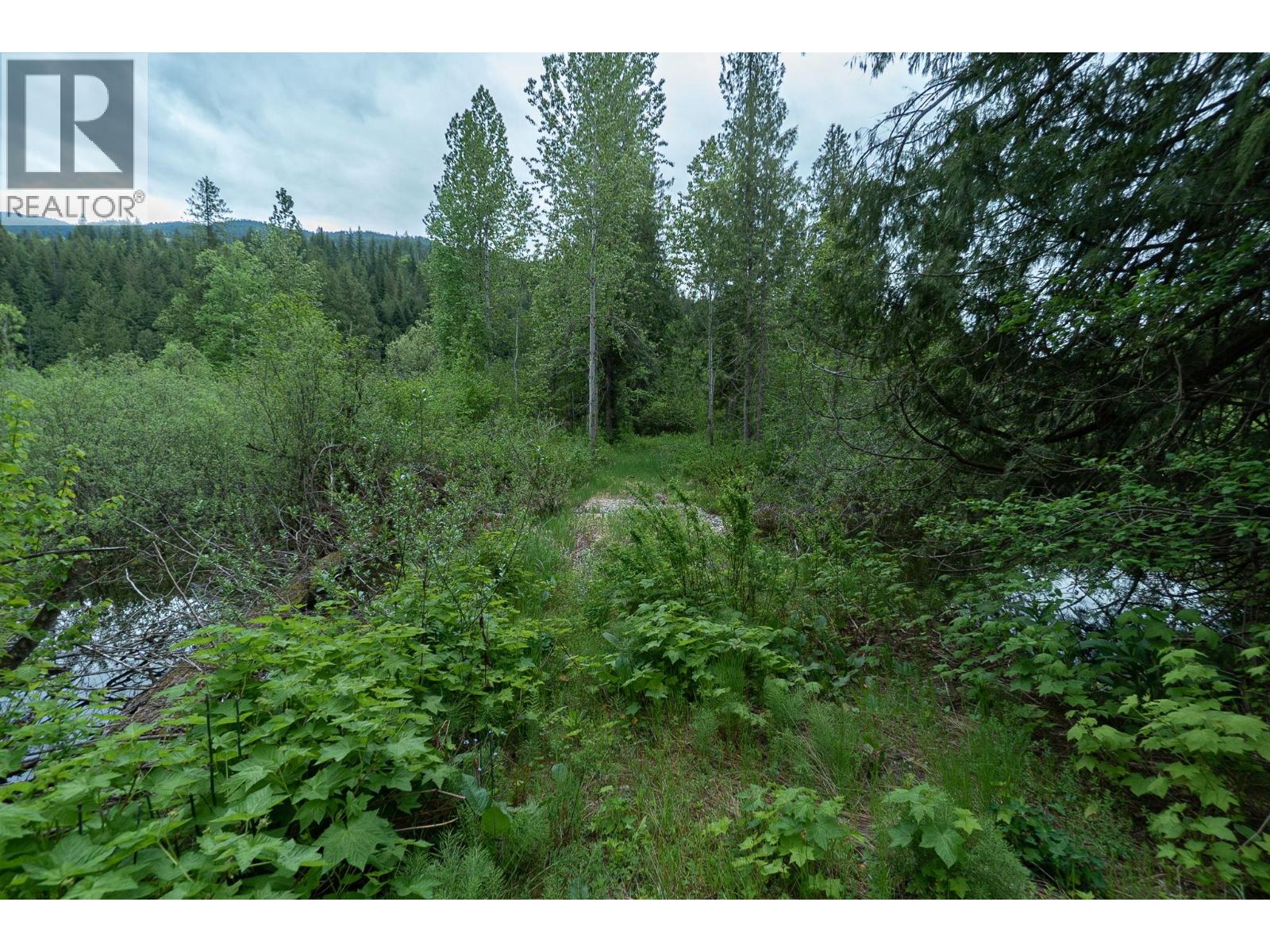 5926 Ferguson Frontage Road, Malakwa, British Columbia  V0E 2J0 - Photo 30 - 10372152