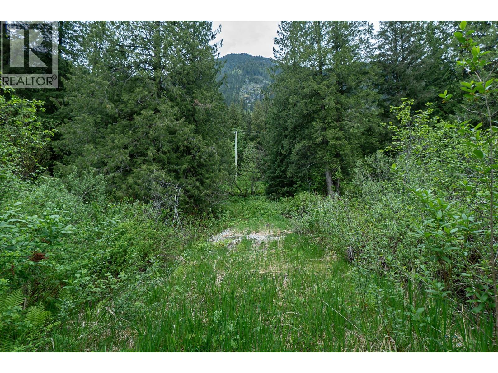 5926 Ferguson Frontage Road, Malakwa, British Columbia  V0E 2J0 - Photo 31 - 10372152