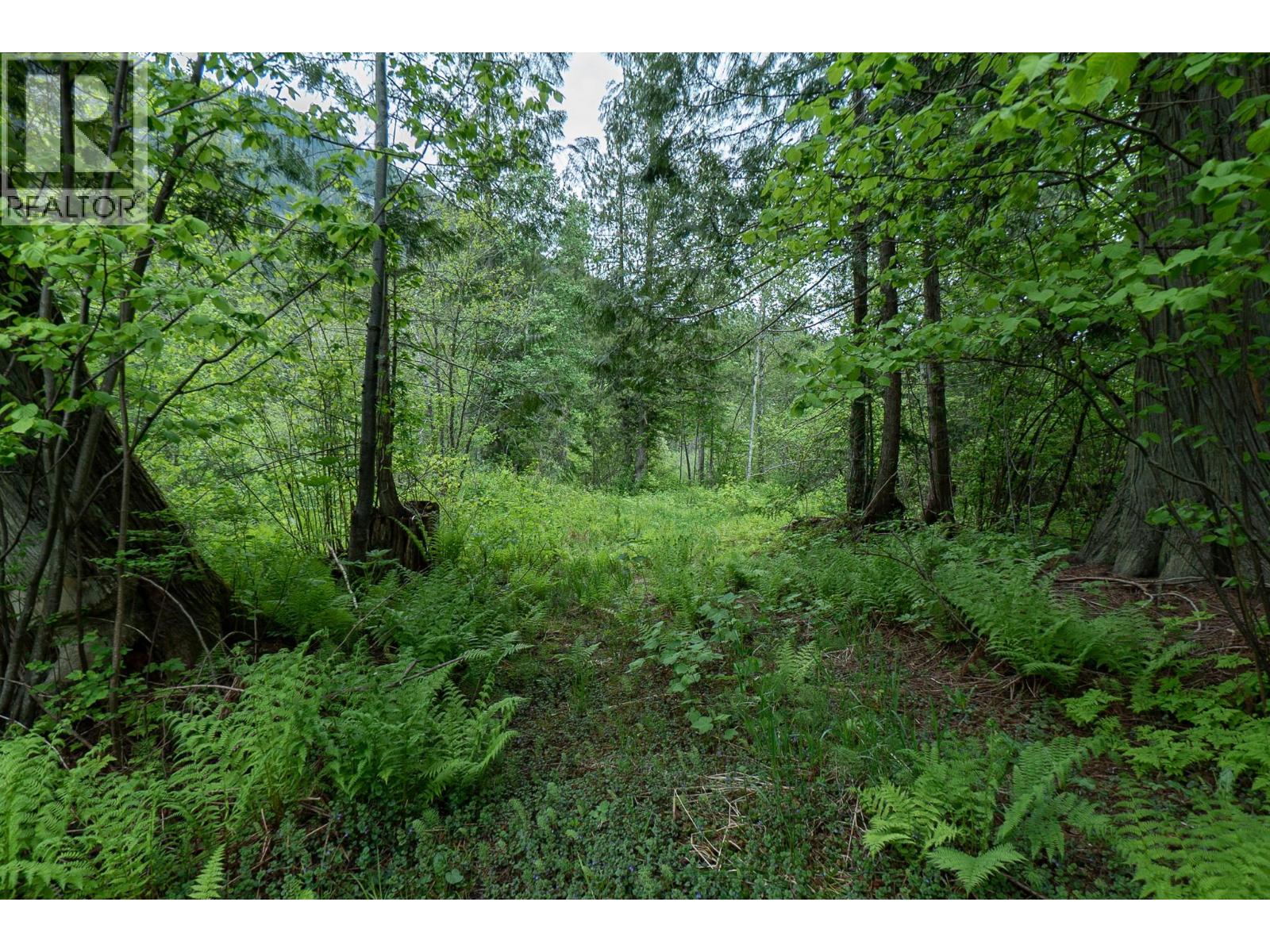 5926 Ferguson Frontage Road, Malakwa, British Columbia  V0E 2J0 - Photo 32 - 10372152