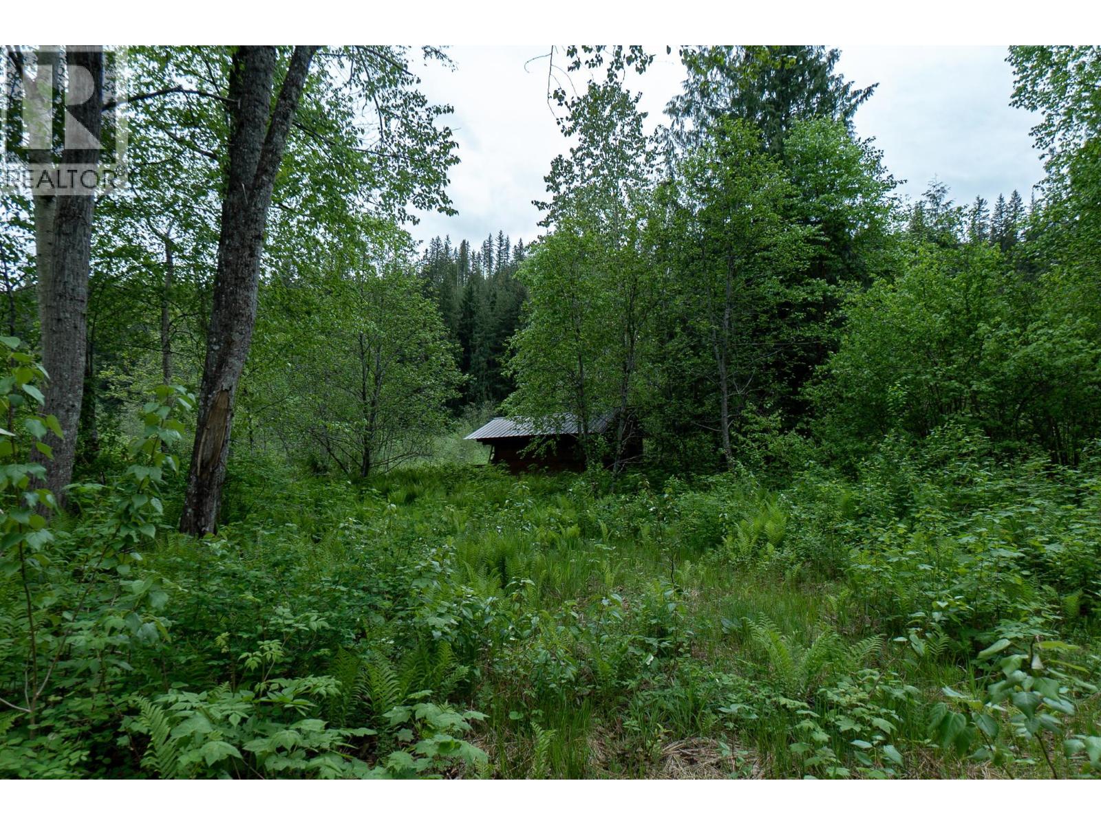 5926 Ferguson Frontage Road, Malakwa, British Columbia  V0E 2J0 - Photo 33 - 10372152
