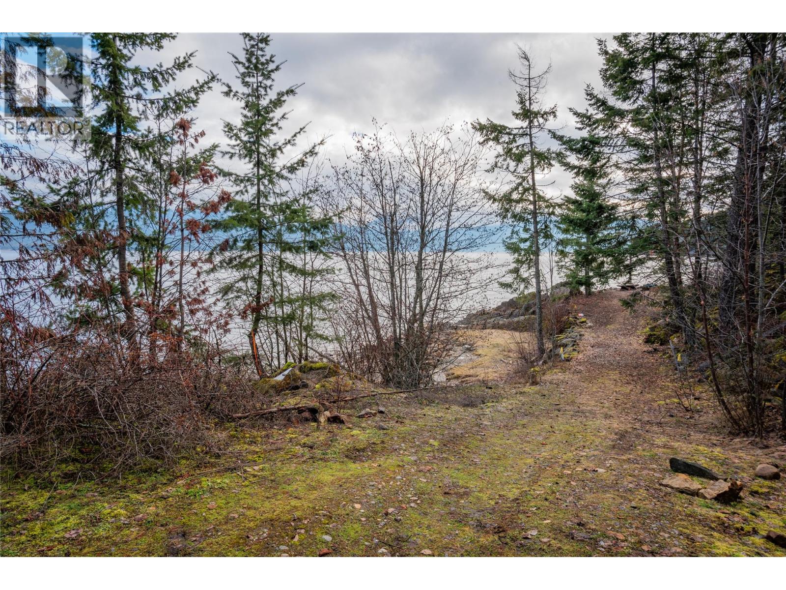 397 Park Avenue, Procter, British Columbia  V1L 0B6 - Photo 28 - 10371760
