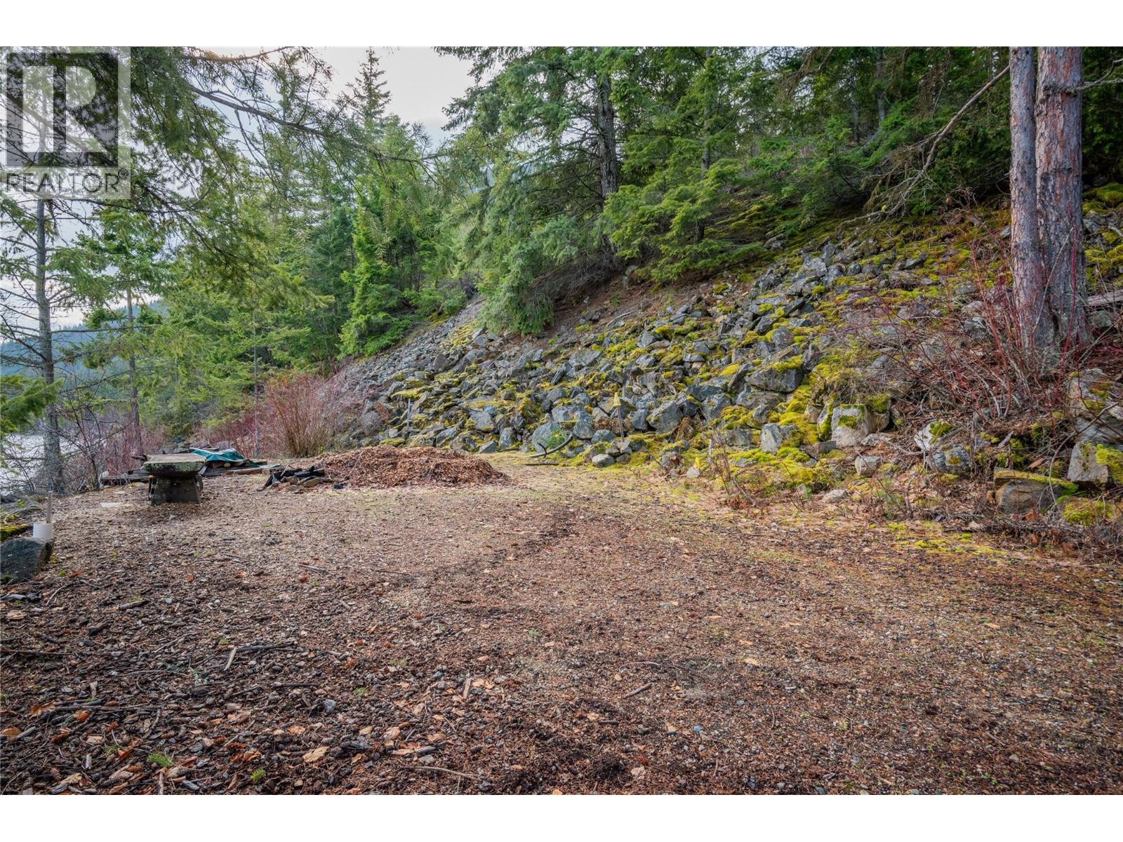 397 Park Avenue, Procter, British Columbia  V1L 0B6 - Photo 33 - 10371760
