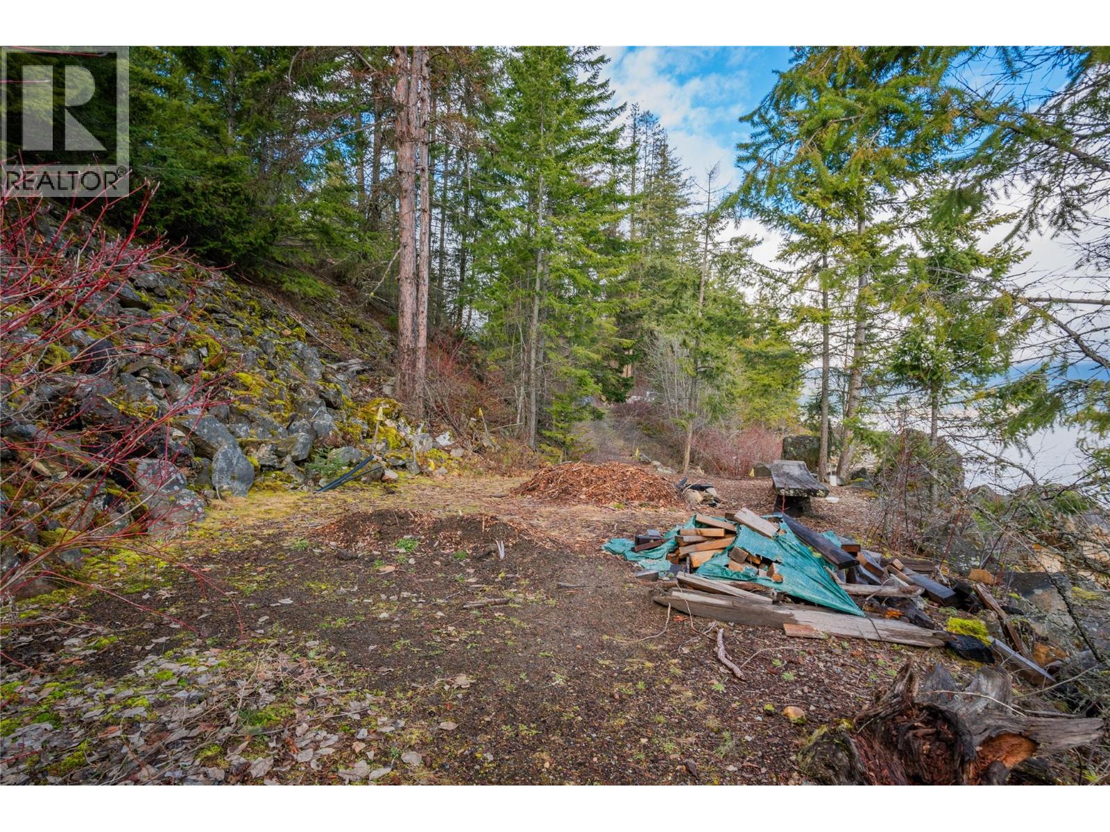 397 Park Avenue, Procter, British Columbia  V1L 0B6 - Photo 35 - 10371760