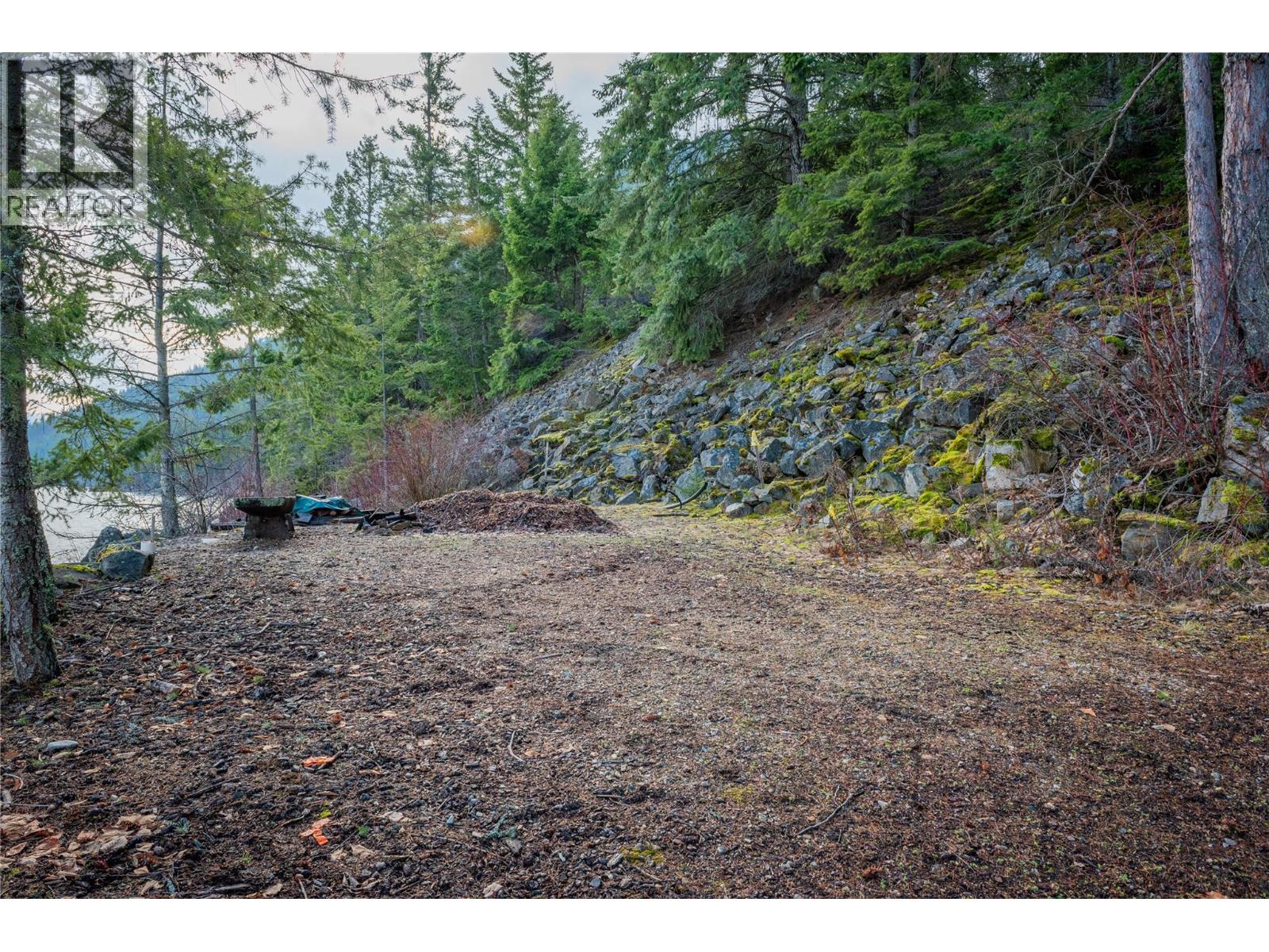 397 Park Avenue, Procter, British Columbia  V1L 0B6 - Photo 62 - 10371760