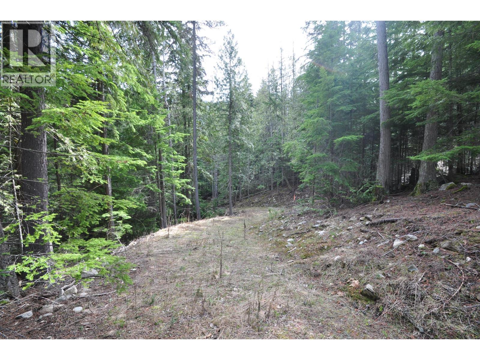 2835 Silver King Road, Nelson, British Columbia  V1L 7A5 - Photo 10 - 10372249