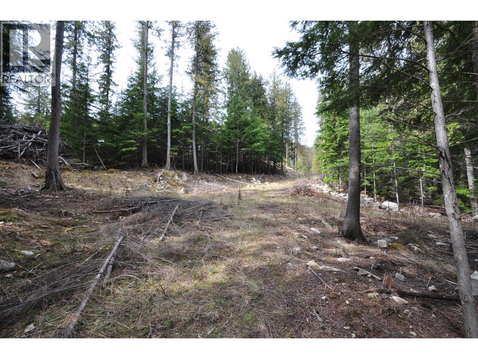 2835 Silver King Road, Nelson, British Columbia  V1L 7A5 - Photo 11 - 10372249