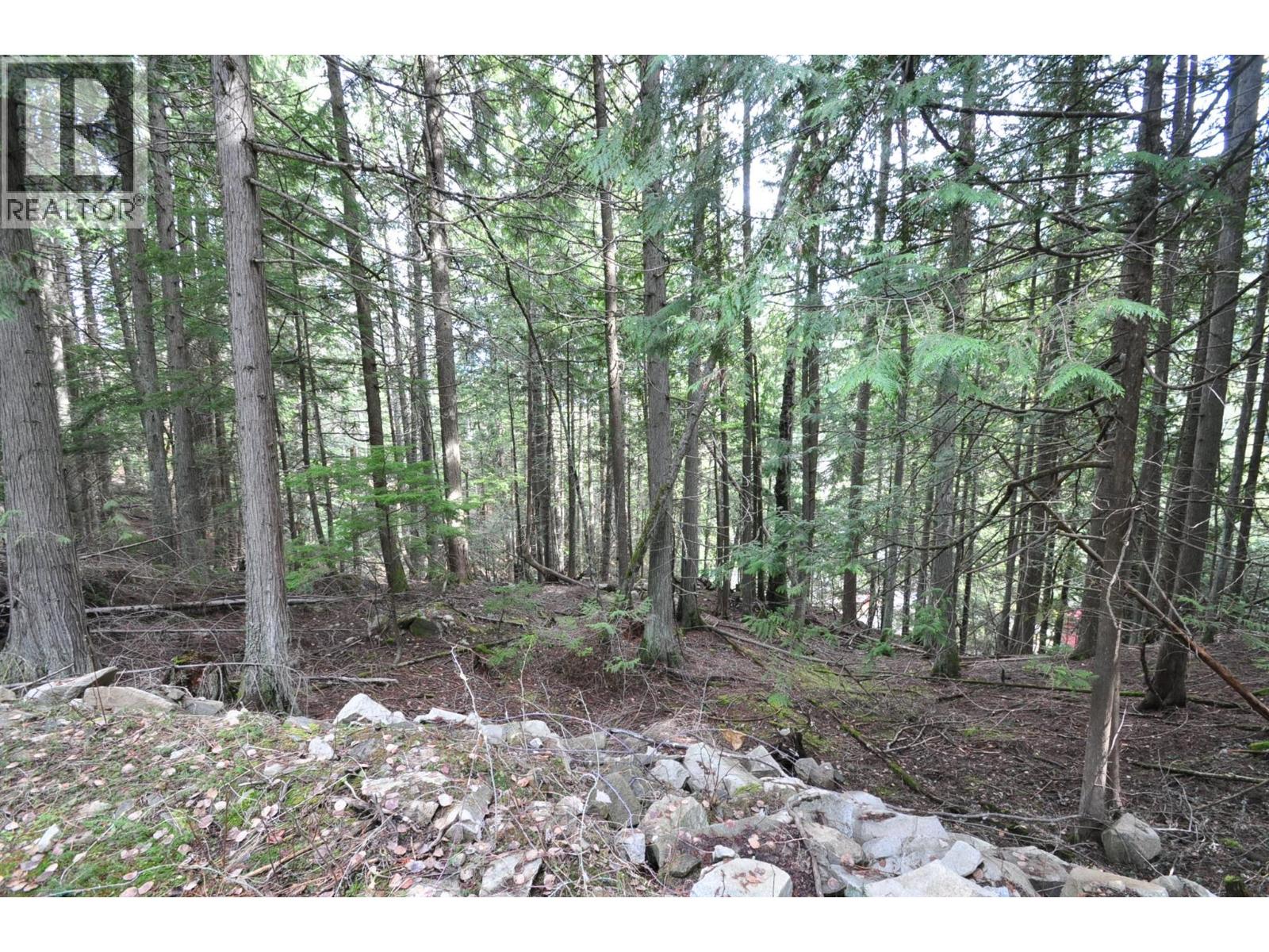 2835 Silver King Road, Nelson, British Columbia  V1L 7A5 - Photo 12 - 10372249