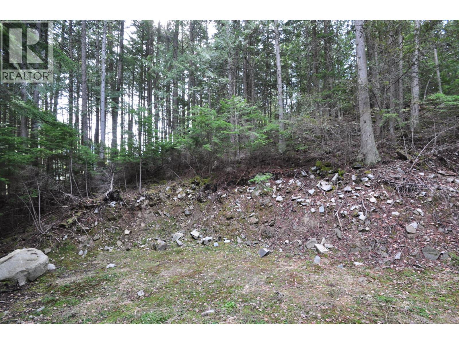 2835 Silver King Road, Nelson, British Columbia  V1L 7A5 - Photo 13 - 10372249
