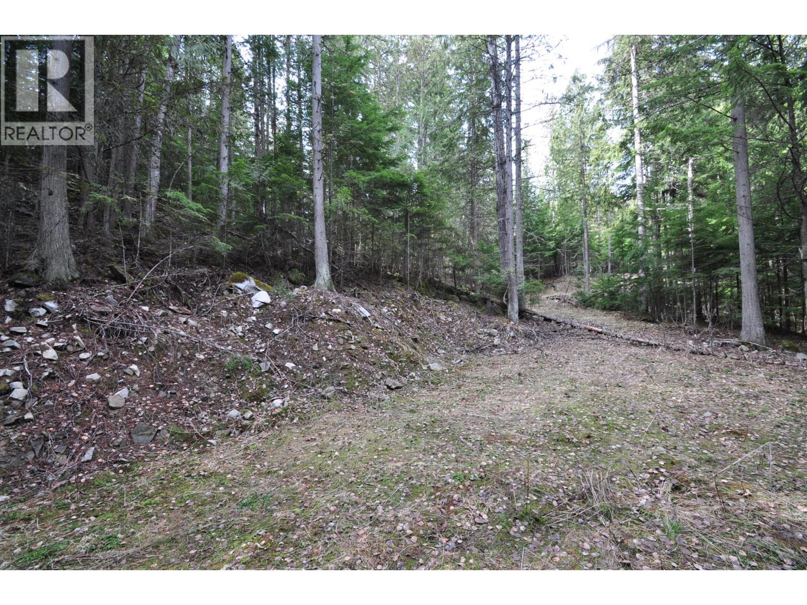 2835 Silver King Road, Nelson, British Columbia  V1L 7A5 - Photo 14 - 10372249