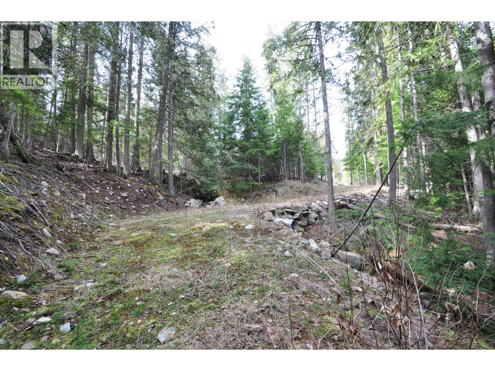 2835 Silver King Road, Nelson, British Columbia  V1L 7A5 - Photo 15 - 10372249