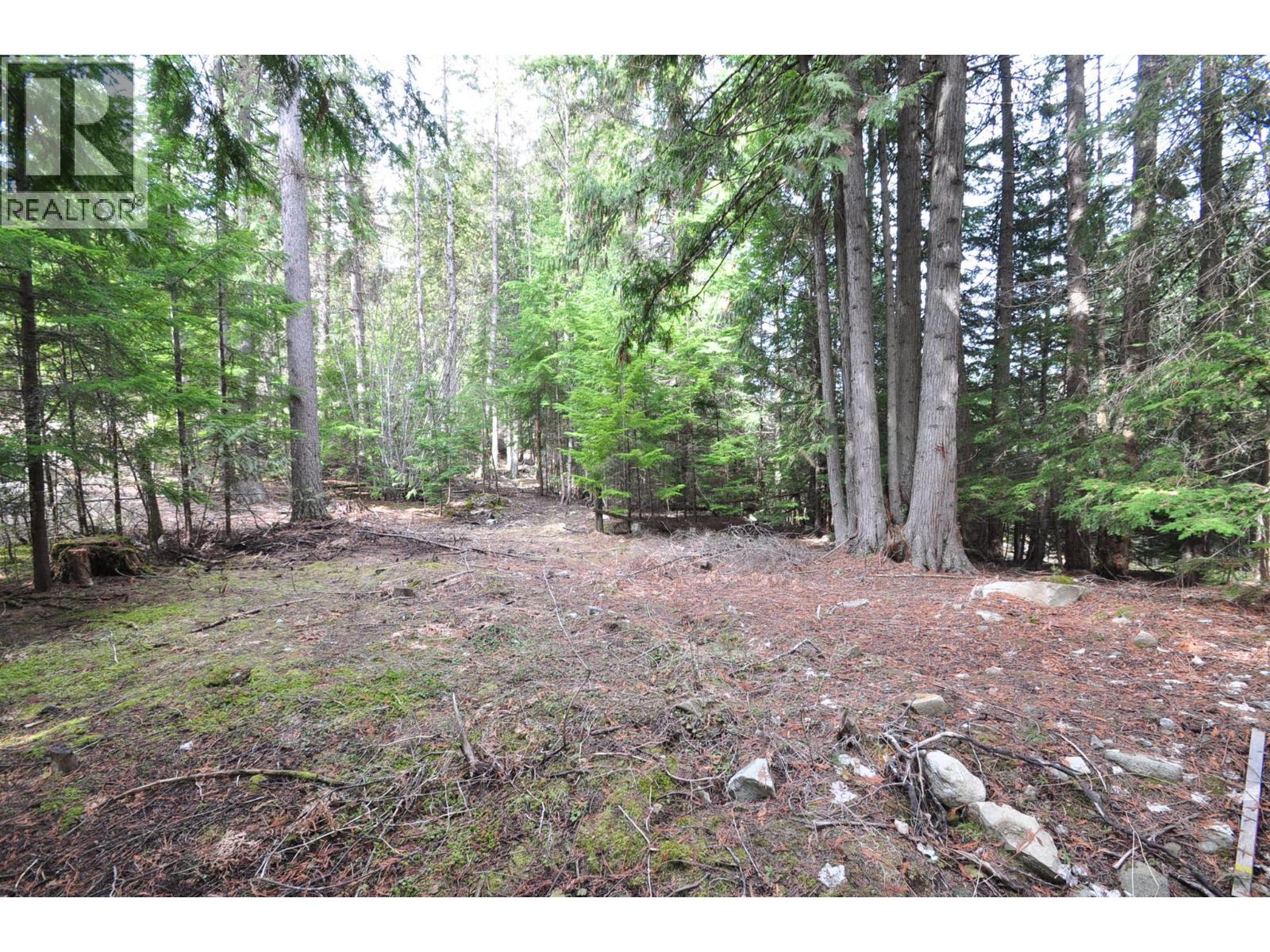 2835 Silver King Road, Nelson, British Columbia  V1L 7A5 - Photo 17 - 10372249