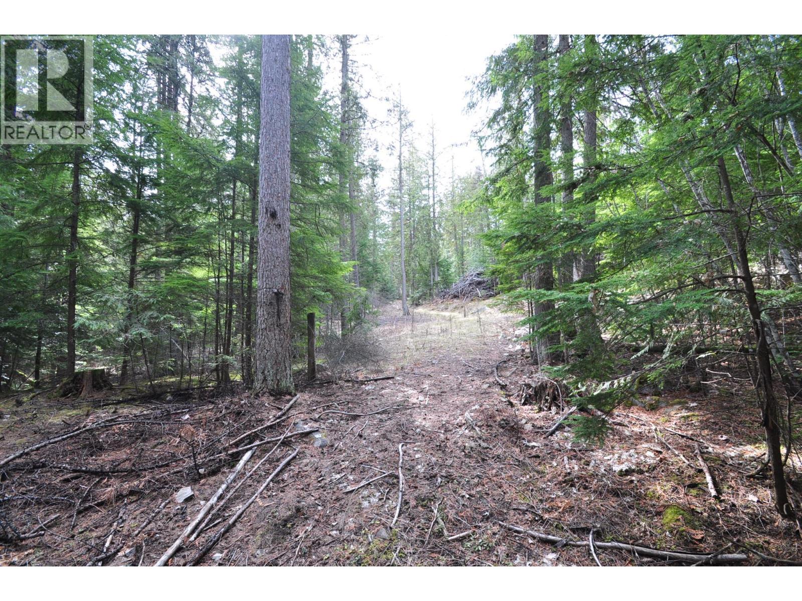 2835 Silver King Road, Nelson, British Columbia  V1L 7A5 - Photo 19 - 10372249