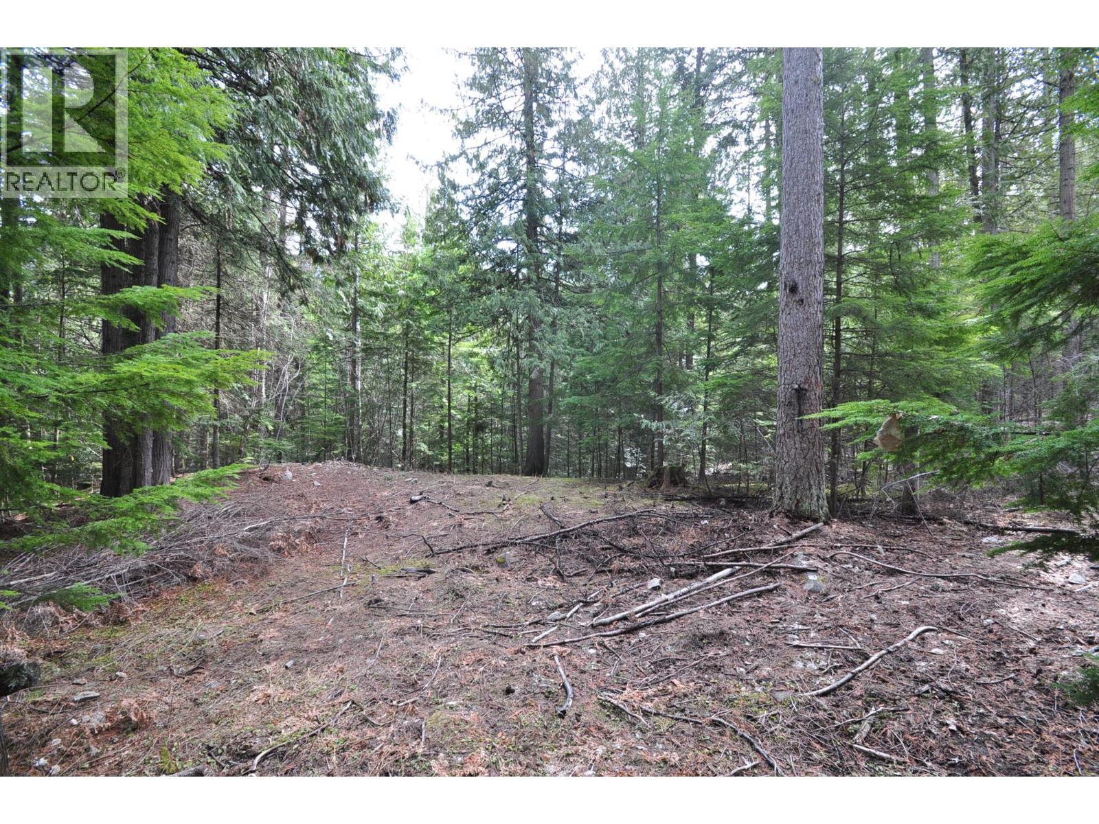 2835 Silver King Road, Nelson, British Columbia  V1L 7A5 - Photo 20 - 10372249