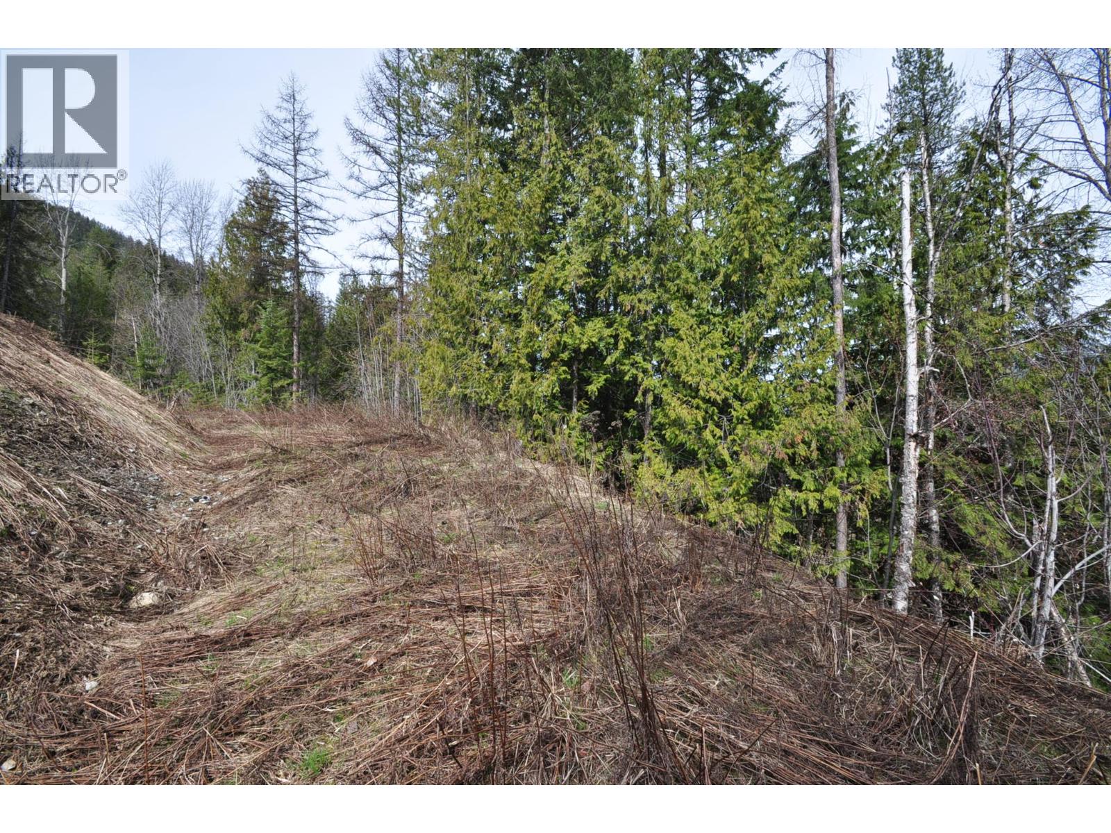 2835 Silver King Road, Nelson, British Columbia  V1L 7A5 - Photo 3 - 10372249