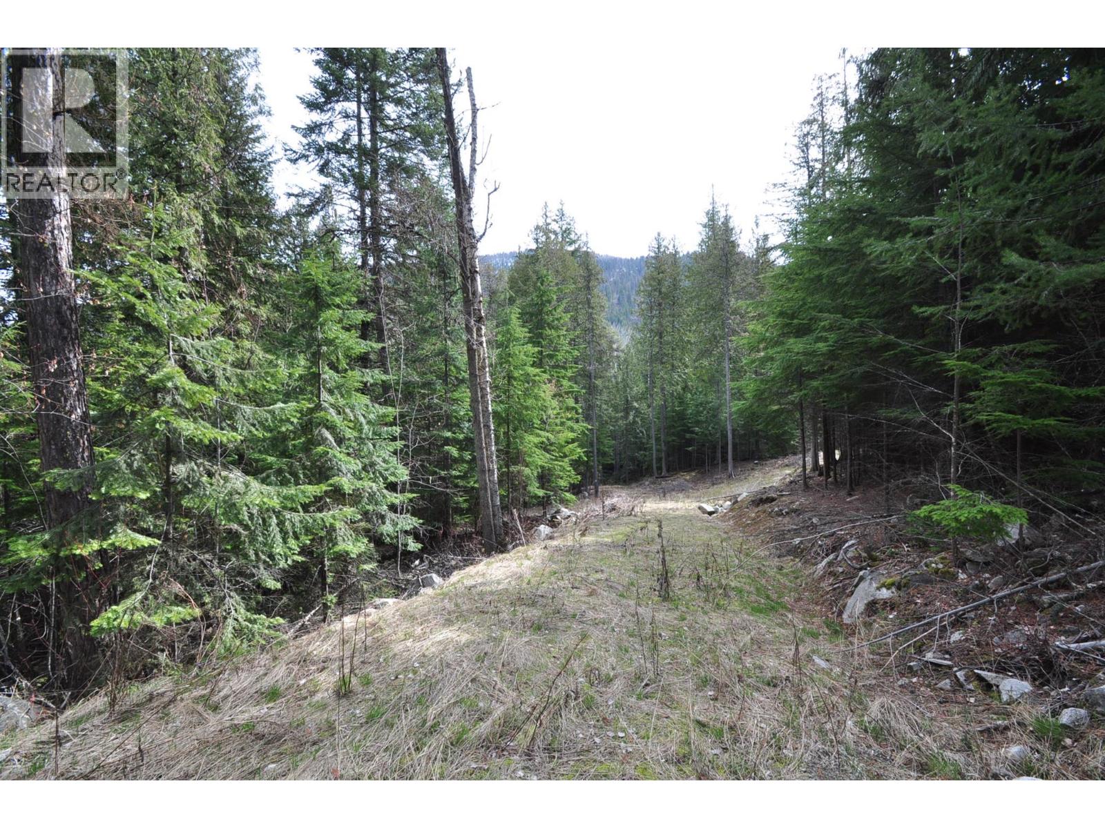 2835 Silver King Road, Nelson, British Columbia  V1L 7A5 - Photo 4 - 10372249