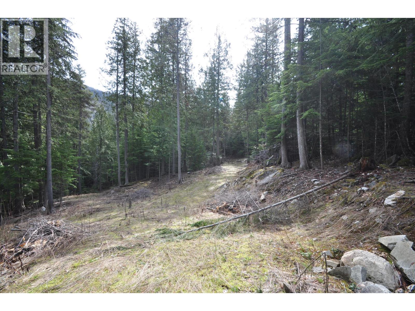 2835 Silver King Road, Nelson, British Columbia  V1L 7A5 - Photo 5 - 10372249