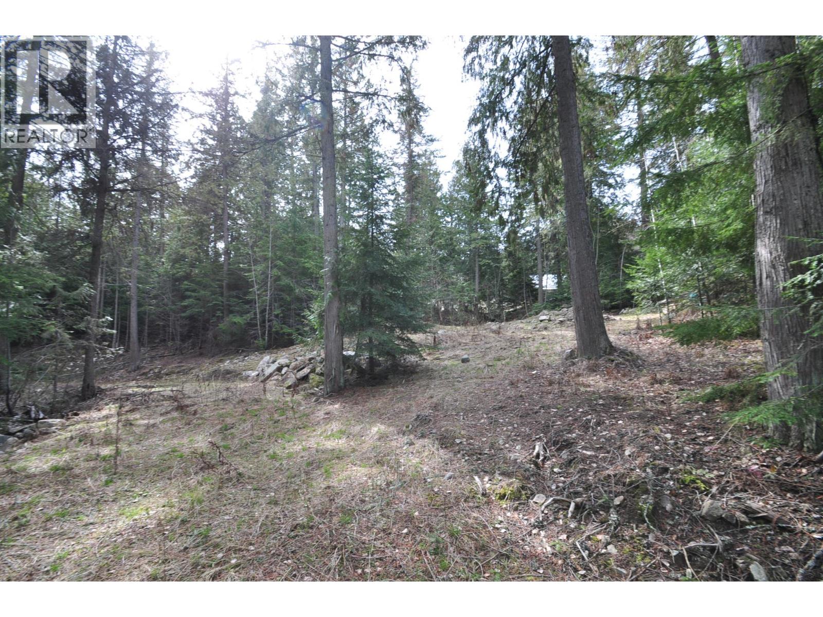 2835 Silver King Road, Nelson, British Columbia  V1L 7A5 - Photo 7 - 10372249