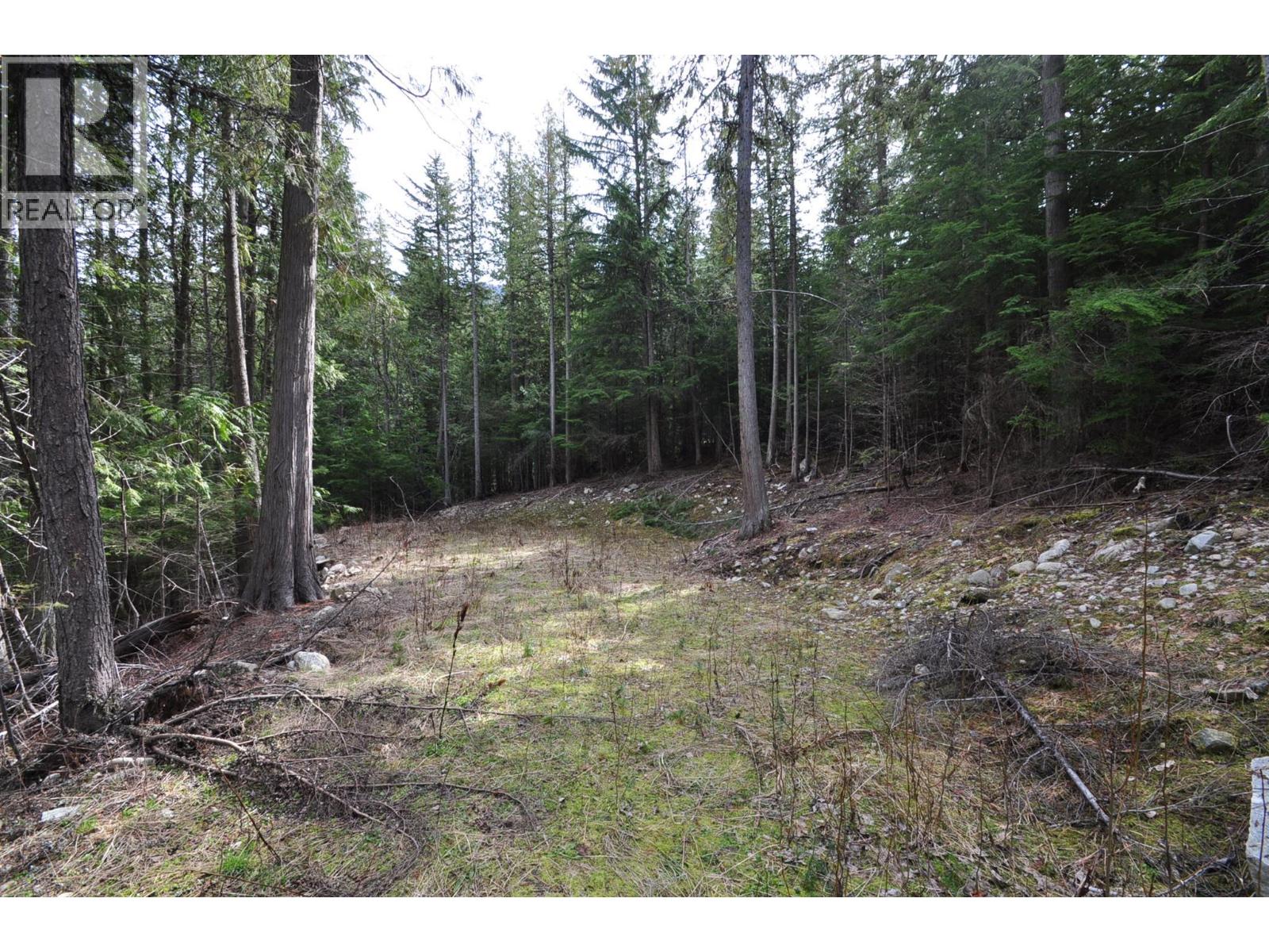 2835 Silver King Road, Nelson, British Columbia  V1L 7A5 - Photo 8 - 10372249