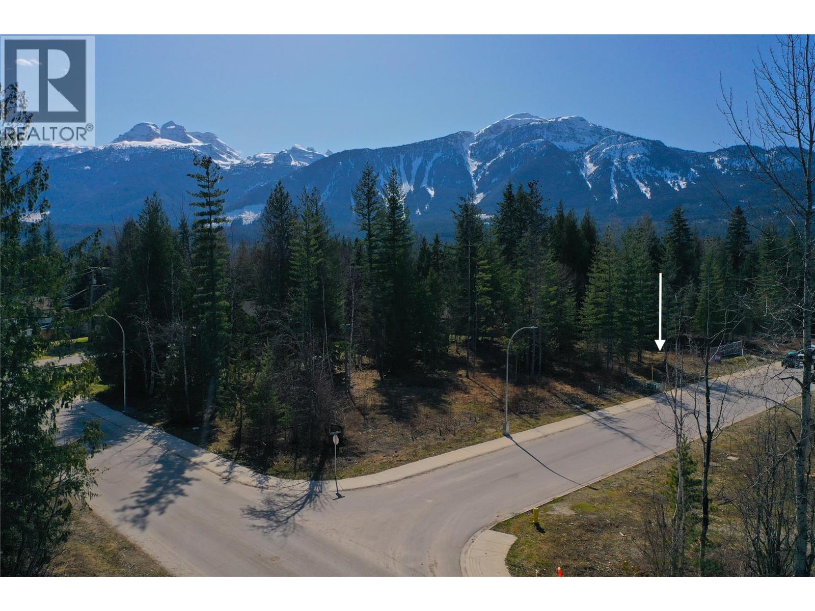1039 Williams Gate Lane, Revelstoke, British Columbia  V0E 2S1 - Photo 3 - 10372196