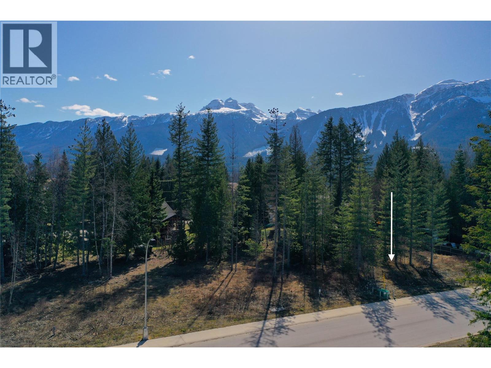 1039 Williams Gate Lane, Revelstoke, British Columbia  V0E 2S1 - Photo 4 - 10372196