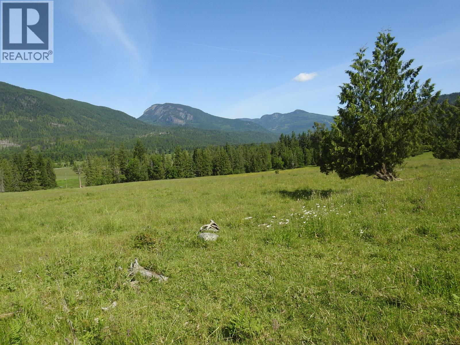 43 Sigalet Road, Lumby, British Columbia  V0E 2G6 - Photo 64 - 10371756