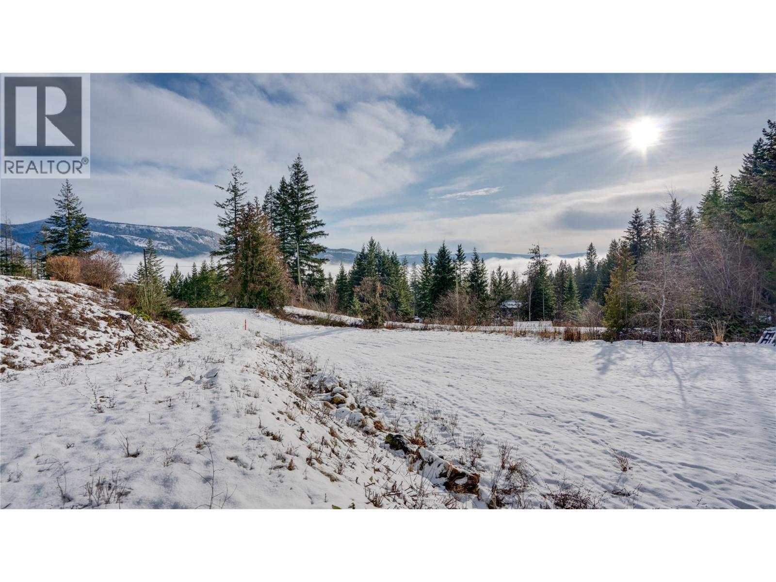 48 Stroulger Road, Enderby, British Columbia  V0E 1V3 - Photo 60 - 10371629