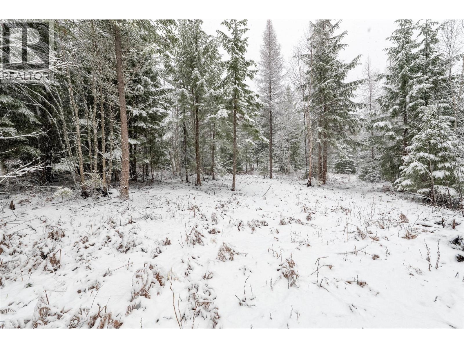 Lot A Meadow Creek Road Lot# Epp 14822, Meadow Creek, British Columbia  V0G 1N0 - Photo 13 - 10372218